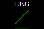 LUNG